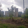 Горожане поблагодарили депутата Госдумы за помощь в спиле сухостоя